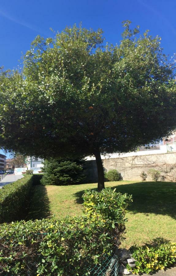 Apartmán Getxo, Parking, Wifi, Metro Exteriér fotografie